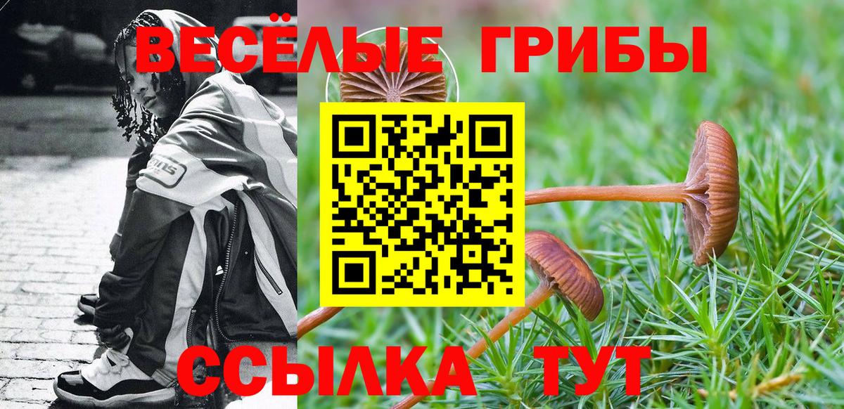 Галлюциногенные грибы Magic Shrooms  Вход с VPN  Ирбит  Галлюциногенные грибы MAGIC MUSHROOMS 
