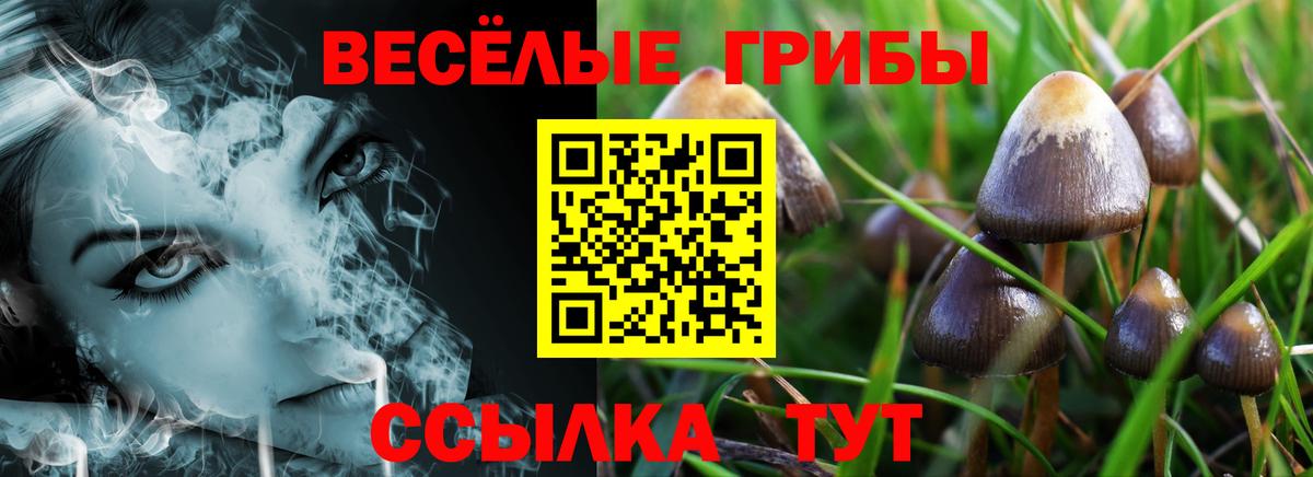 Псилоцибиновые грибы Magic Shrooms Ирбит